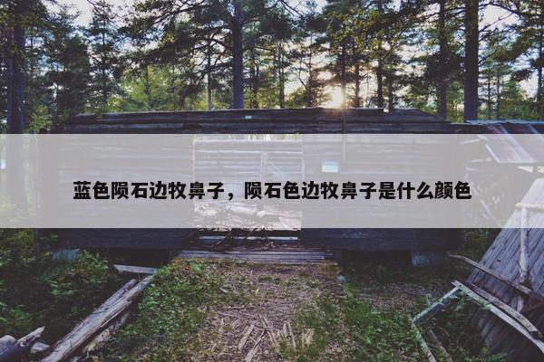 蓝色陨石边牧鼻子，陨石色边牧鼻子是什么颜色