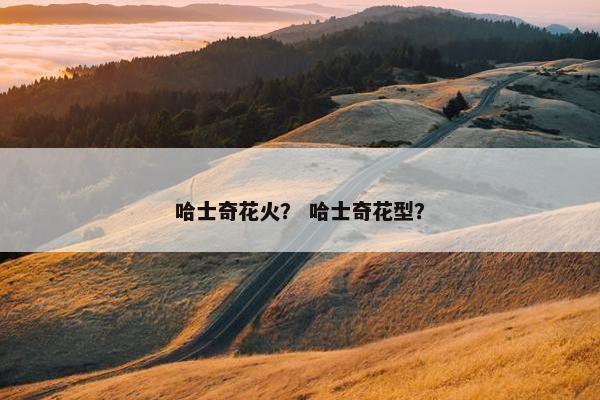 哈士奇花火？ 哈士奇花型？