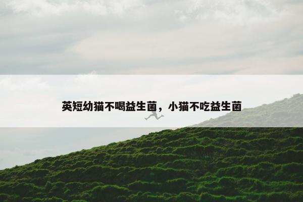 英短幼猫不喝益生菌，小猫不吃益生菌