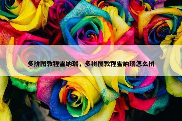 多拼图教程雪纳瑞，多拼图教程雪纳瑞怎么拼