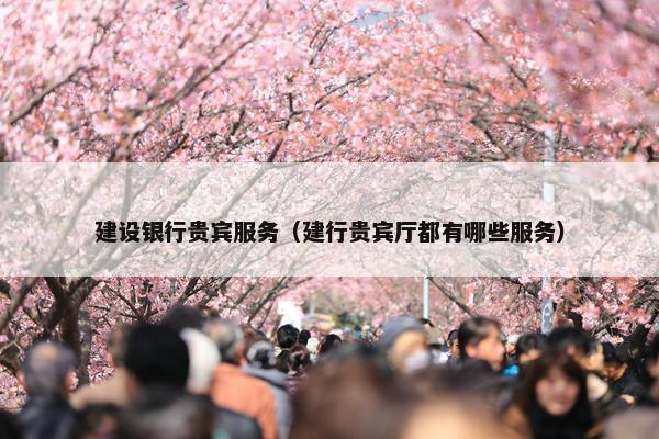 建设银行贵宾服务（建行贵宾厅都有哪些服务）