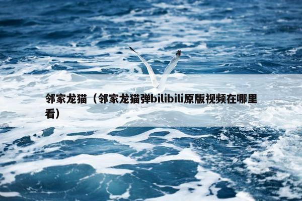 邻家龙猫（邻家龙猫弹bilibili原版视频在哪里看）