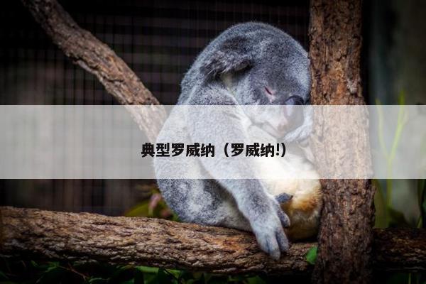 典型罗威纳（罗威纳!）