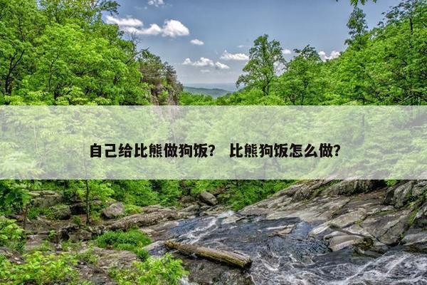 自己给比熊做狗饭？ 比熊狗饭怎么做？