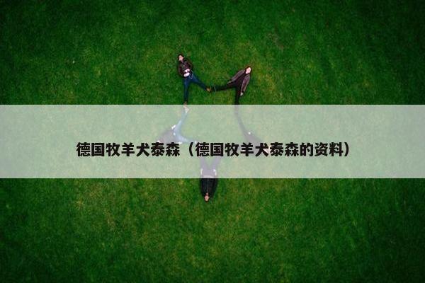 德国牧羊犬泰森（德国牧羊犬泰森的资料）