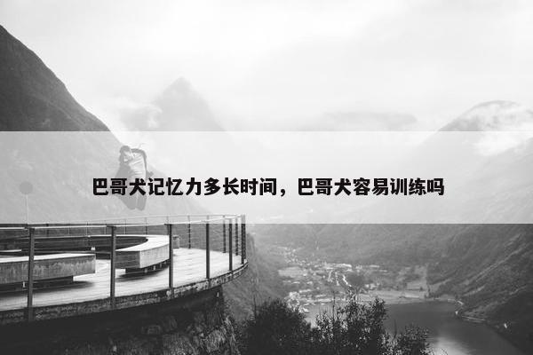 巴哥犬记忆力多长时间，巴哥犬容易训练吗