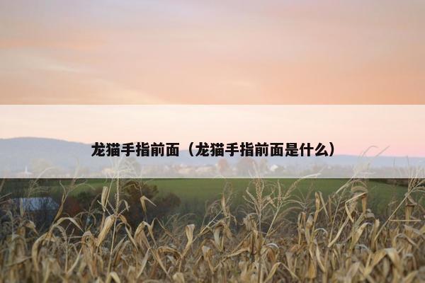龙猫手指前面（龙猫手指前面是什么）