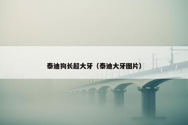泰迪狗长超大牙（泰迪大牙图片）