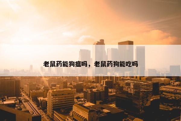 老鼠药能狗瘟吗，老鼠药狗能吃吗