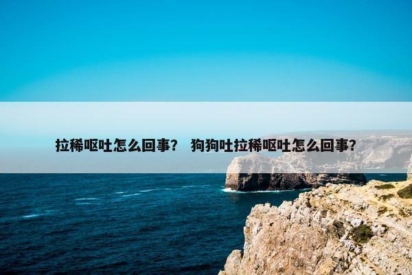 拉稀呕吐怎么回事？ 狗狗吐拉稀呕吐怎么回事？