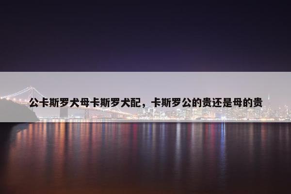 公卡斯罗犬母卡斯罗犬配，卡斯罗公的贵还是母的贵