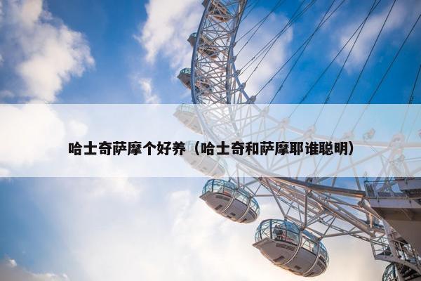 哈士奇萨摩个好养（哈士奇和萨摩耶谁聪明）
