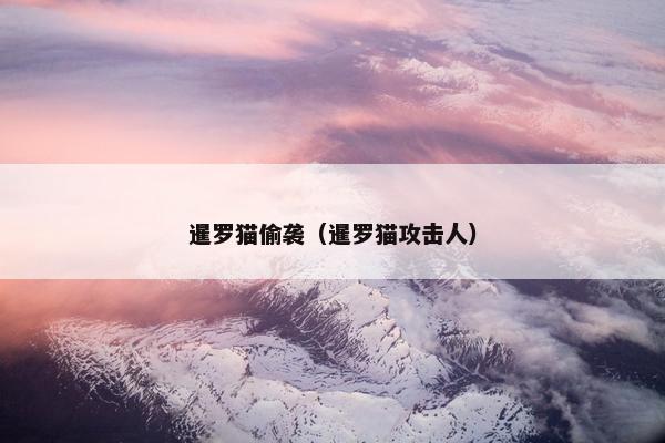 暹罗猫偷袭（暹罗猫攻击人）