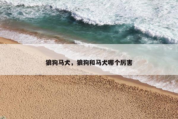 狼狗马犬，狼狗和马犬哪个厉害