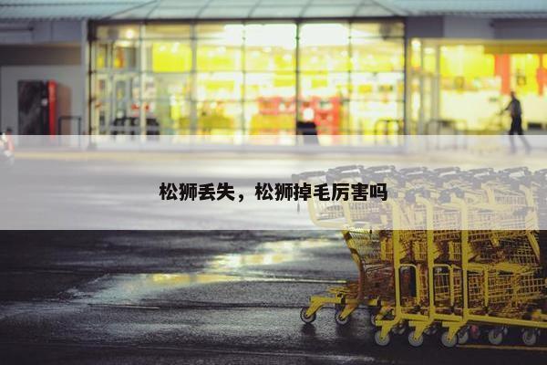 松狮丢失，松狮掉毛厉害吗