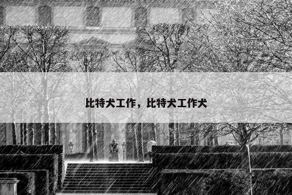 比特犬工作，比特犬工作犬