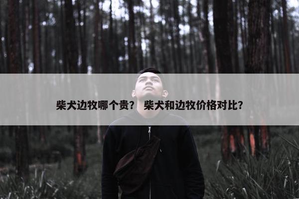 柴犬边牧哪个贵？ 柴犬和边牧价格对比？