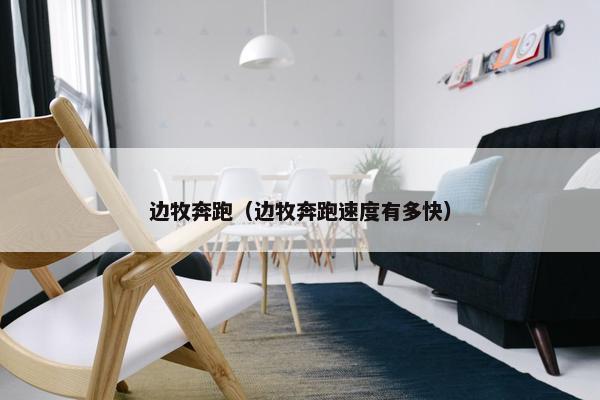 边牧奔跑（边牧奔跑速度有多快）