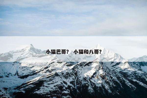 小猫巴哥？ 小猫和八哥？