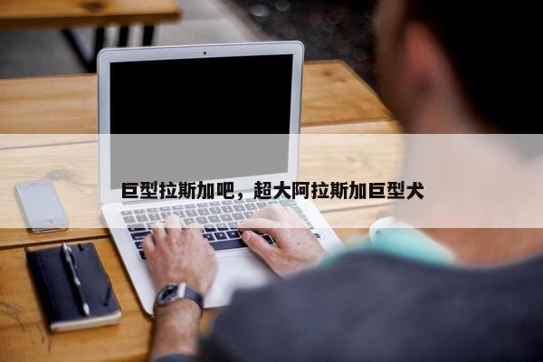 巨型拉斯加吧，超大阿拉斯加巨型犬