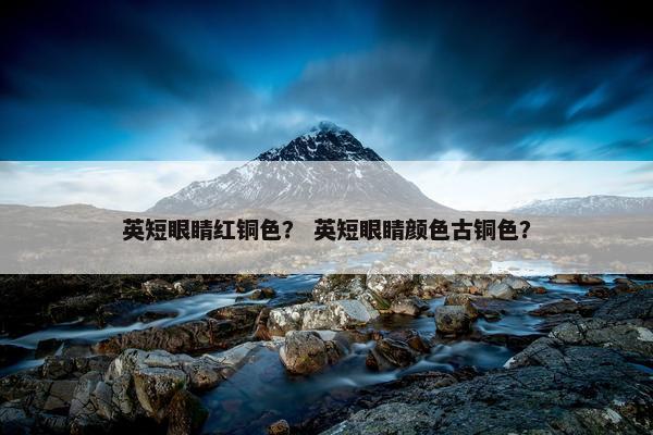 英短眼睛红铜色？ 英短眼睛颜色古铜色？