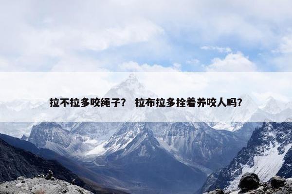 拉不拉多咬绳子？ 拉布拉多拴着养咬人吗？
