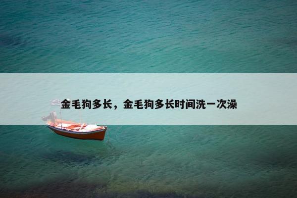 金毛狗多长，金毛狗多长时间洗一次澡