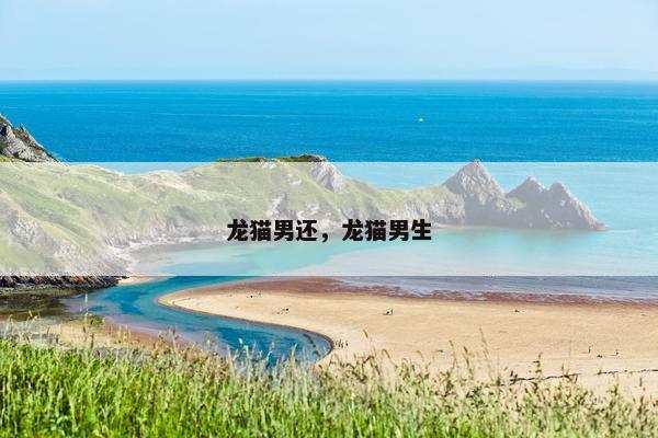 龙猫男还，龙猫男生