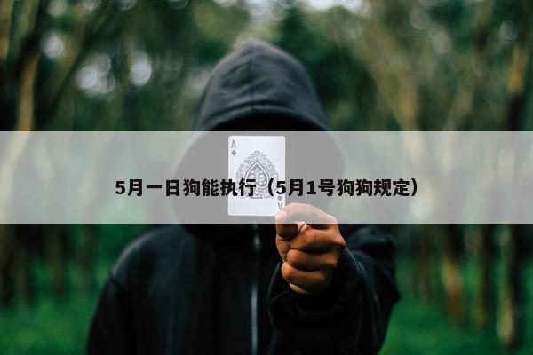 5月一日狗能执行（5月1号狗狗规定）
