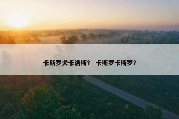 卡斯罗犬卡洛斯？ 卡斯罗卡斯罗？