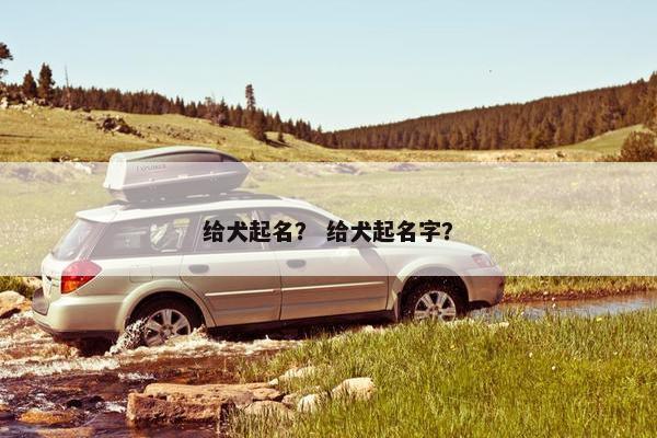 给犬起名？ 给犬起名字？