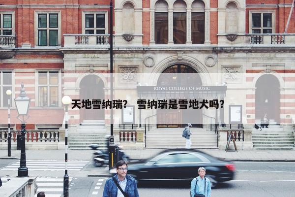 天地雪纳瑞？ 雪纳瑞是雪地犬吗？