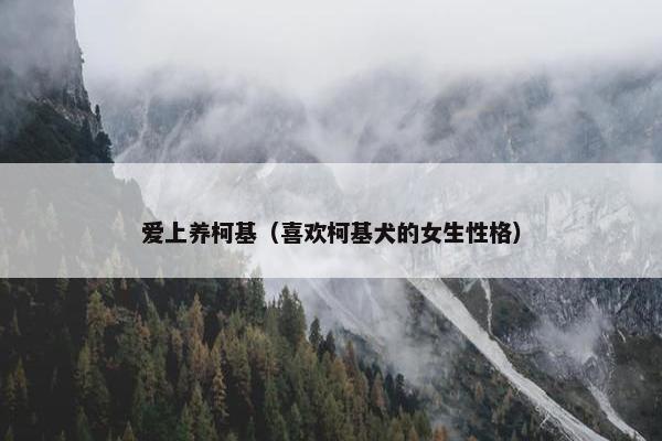 爱上养柯基（喜欢柯基犬的女生性格）