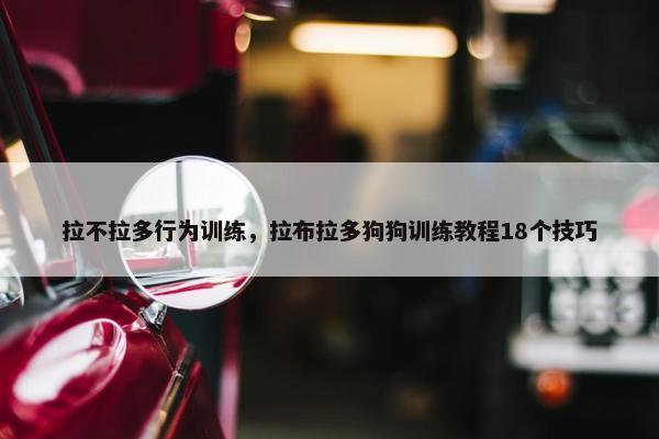 拉不拉多行为训练，拉布拉多狗狗训练教程18个技巧