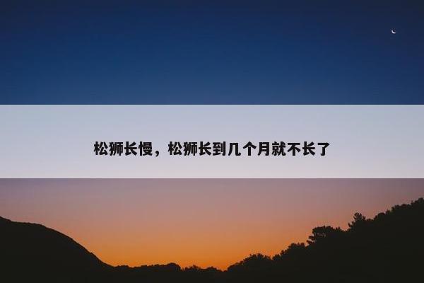 松狮长慢，松狮长到几个月就不长了