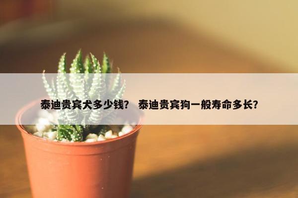 泰迪贵宾犬多少钱？ 泰迪贵宾狗一般寿命多长？