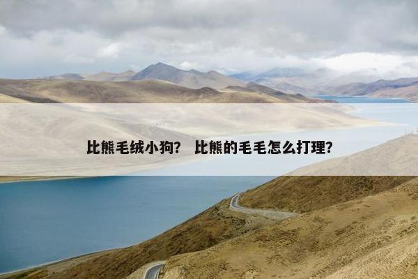 比熊毛绒小狗？ 比熊的毛毛怎么打理？