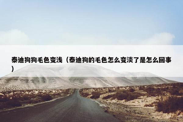 泰迪狗狗毛色变浅（泰迪狗的毛色怎么变淡了是怎么回事）