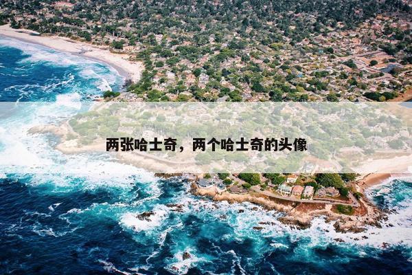 两张哈士奇，两个哈士奇的头像