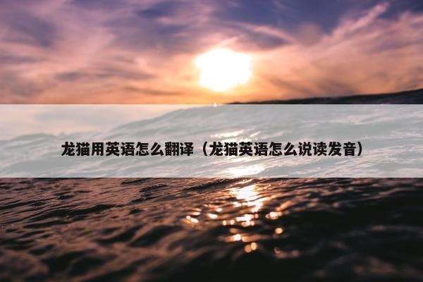 龙猫用英语怎么翻译（龙猫英语怎么说读发音）