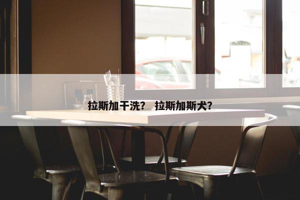 拉斯加干洗？ 拉斯加斯犬？