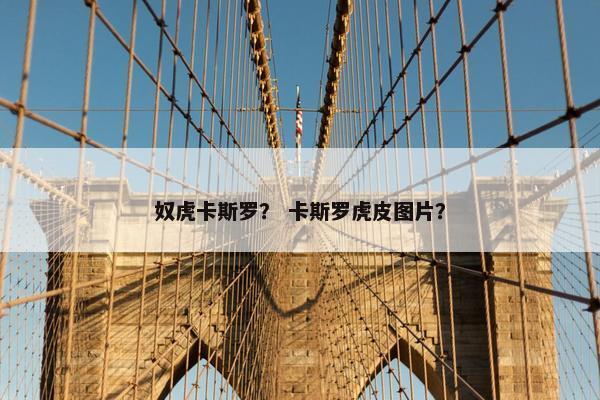 奴虎卡斯罗？ 卡斯罗虎皮图片？