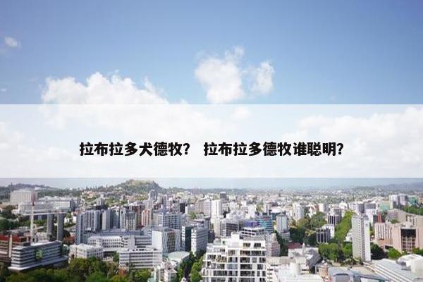 拉布拉多犬德牧？ 拉布拉多德牧谁聪明？