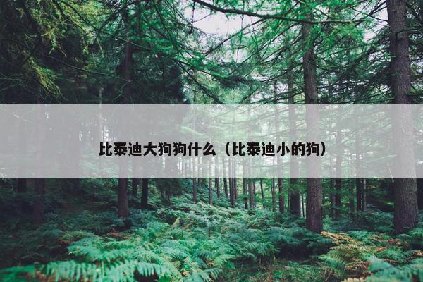 比泰迪大狗狗什么（比泰迪小的狗）