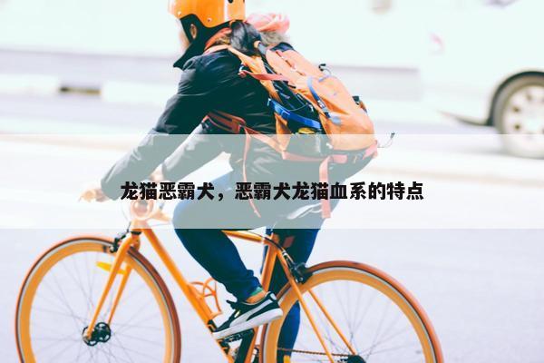 龙猫恶霸犬，恶霸犬龙猫血系的特点