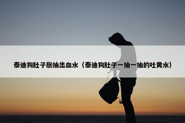 泰迪狗肚子胀抽出血水（泰迪狗肚子一抽一抽的吐黄水）