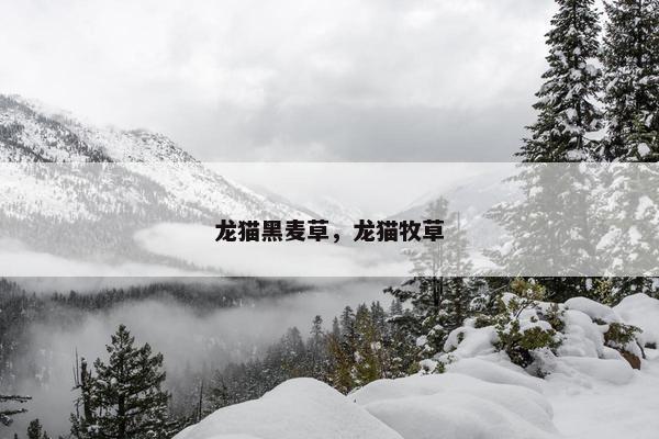 龙猫黑麦草，龙猫牧草