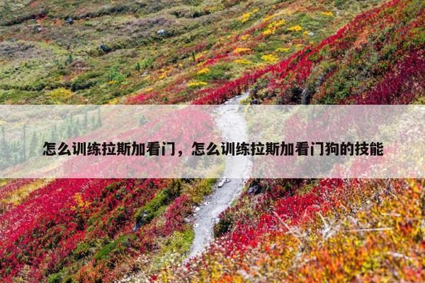 怎么训练拉斯加看门，怎么训练拉斯加看门狗的技能