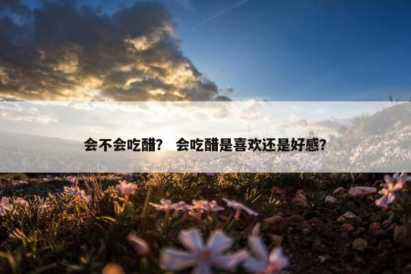 会不会吃醋？ 会吃醋是喜欢还是好感？