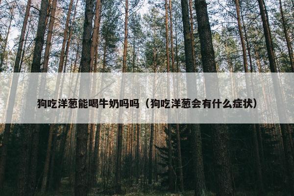 狗吃洋葱能喝牛奶吗吗（狗吃洋葱会有什么症状）